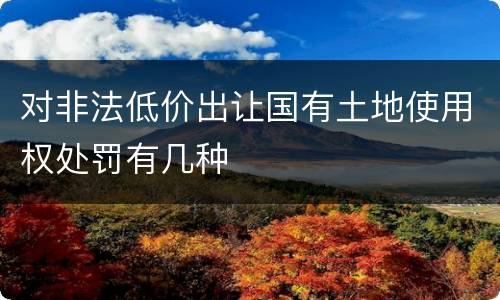 对非法低价出让国有土地使用权处罚有几种