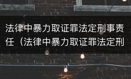 法律中暴力取证罪法定刑事责任（法律中暴力取证罪法定刑事责任是什么）