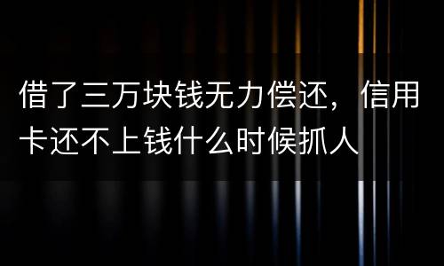 借了三万块钱无力偿还，信用卡还不上钱什么时候抓人