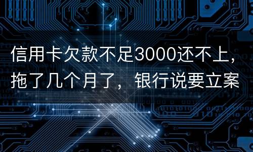 信用卡欠款不足3000还不上，拖了几个月了，银行说要立案，会坐牢吗