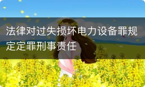 法律对过失损坏电力设备罪规定定罪刑事责任