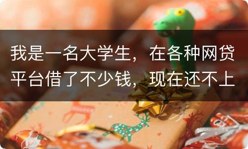我是一名大学生，在各种网贷平台借了不少钱，现在还不上，如果不还会怎么样