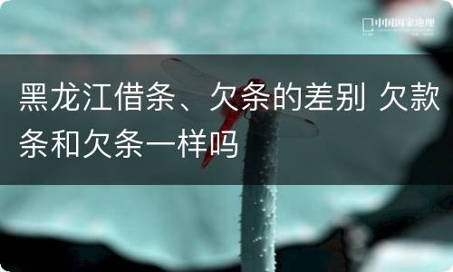黑龙江借条、欠条的差别 欠款条和欠条一样吗