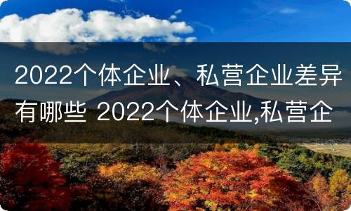 2022个体企业、私营企业差异有哪些 2022个体企业,私营企业差异有哪些影响