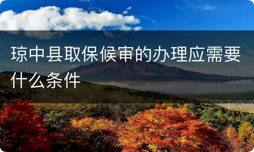 琼中县取保候审的办理应需要什么条件
