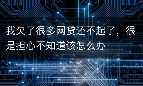 我欠了很多网贷还不起了，很是担心不知道该怎么办