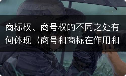 商标权、商号权的不同之处有何体现（商号和商标在作用和性质上的区别）