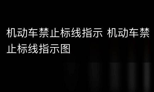 机动车禁止标线指示 机动车禁止标线指示图