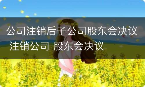 公司注销后子公司股东会决议 注销公司 股东会决议