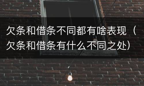 欠条和借条不同都有啥表现（欠条和借条有什么不同之处）