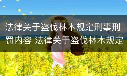 法律关于盗伐林木规定刑事刑罚内容 法律关于盗伐林木规定刑事刑罚内容