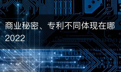 商业秘密、专利不同体现在哪2022