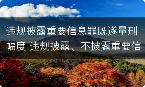 违规披露重要信息罪既遂量刑幅度 违规披露、不披露重要信息罪追诉标准