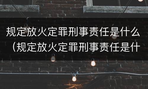 规定放火定罪刑事责任是什么（规定放火定罪刑事责任是什么）