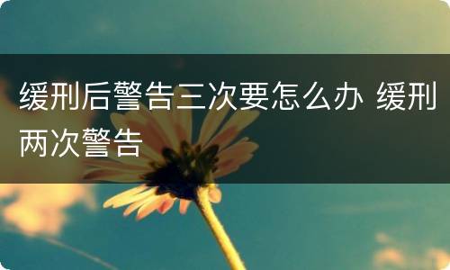 缓刑后警告三次要怎么办 缓刑两次警告