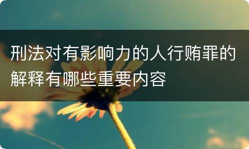 刑法对有影响力的人行贿罪的解释有哪些重要内容