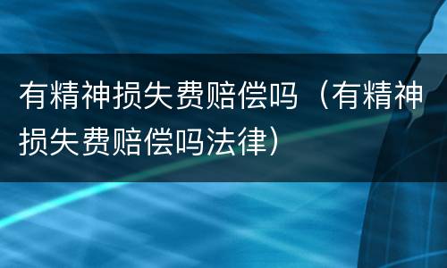 有精神损失费赔偿吗（有精神损失费赔偿吗法律）