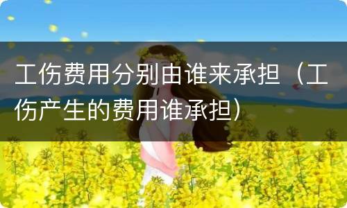工伤费用分别由谁来承担（工伤产生的费用谁承担）