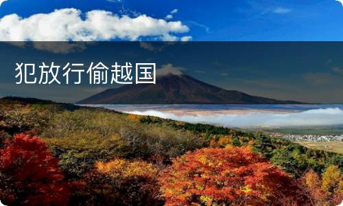 犯放行偷越国