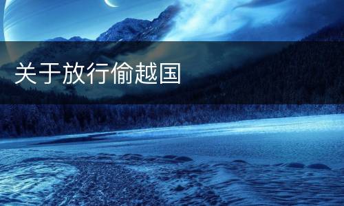 关于放行偷越国