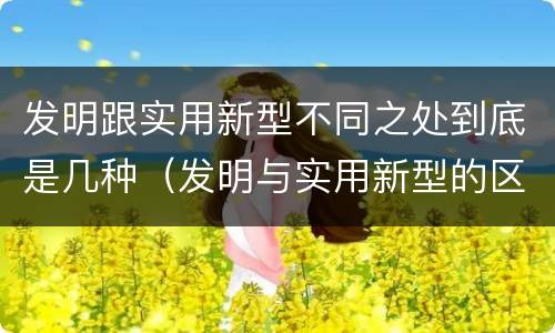 发明跟实用新型不同之处到底是几种（发明与实用新型的区别有）