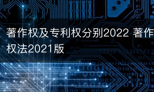 著作权及专利权分别2022 著作权法2021版
