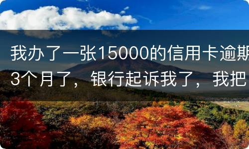 我办了一张15000的信用卡逾期3个月了，银行起诉我了，我把钱还上应该可以吧