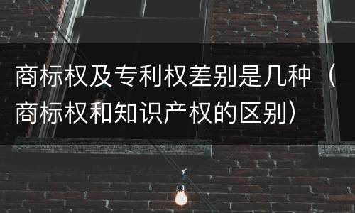 商标权及专利权差别是几种（商标权和知识产权的区别）