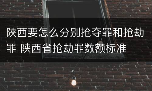 陕西要怎么分别抢夺罪和抢劫罪 陕西省抢劫罪数额标准