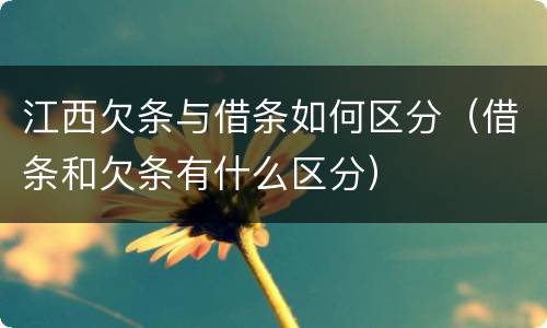 江西欠条与借条如何区分（借条和欠条有什么区分）