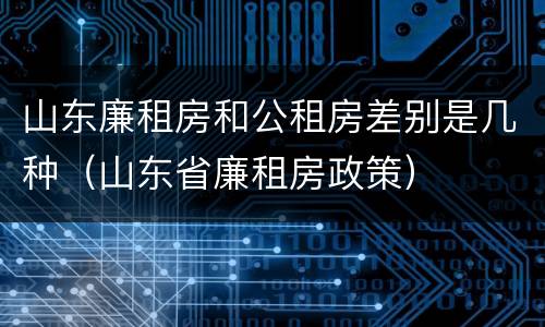 山东廉租房和公租房差别是几种（山东省廉租房政策）