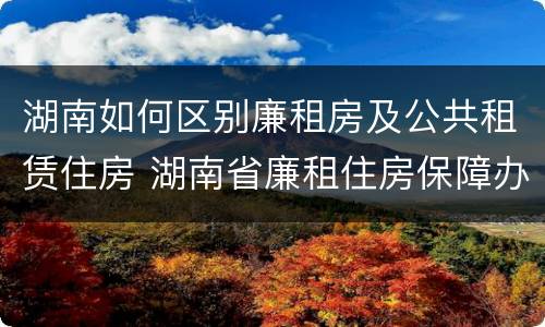 湖南如何区别廉租房及公共租赁住房 湖南省廉租住房保障办法