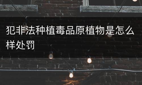 犯非法种植毒品原植物是怎么样处罚