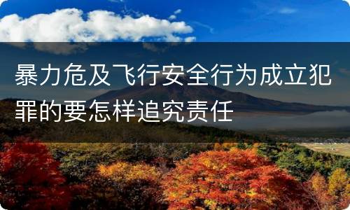 暴力危及飞行安全行为成立犯罪的要怎样追究责任