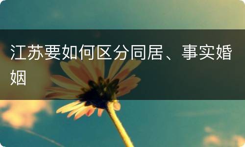 江苏要如何区分同居、事实婚姻
