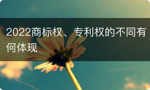 2022商标权、专利权的不同有何体现
