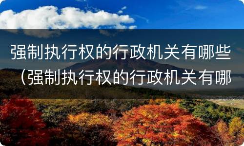强制执行权的行政机关有哪些（强制执行权的行政机关有哪些）