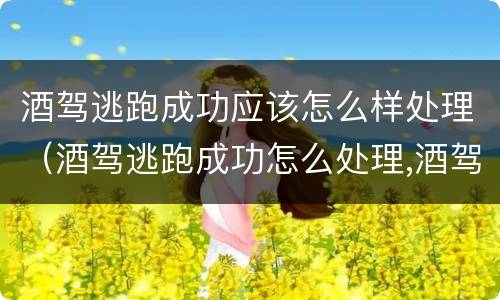 酒驾逃跑成功应该怎么样处理（酒驾逃跑成功怎么处理,酒驾本人应该怎么办）