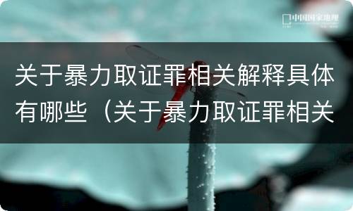 关于暴力取证罪相关解释具体有哪些（关于暴力取证罪相关解释具体有哪些内容）