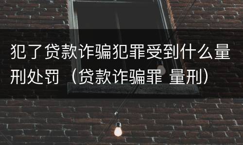 犯了贷款诈骗犯罪受到什么量刑处罚（贷款诈骗罪 量刑）
