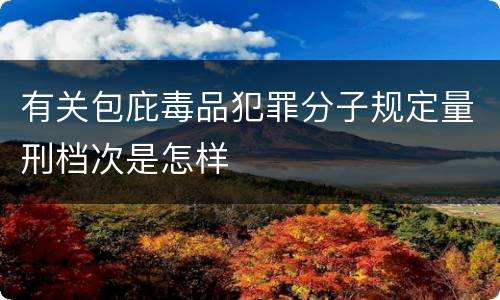 有关包庇毒品犯罪分子规定量刑档次是怎样