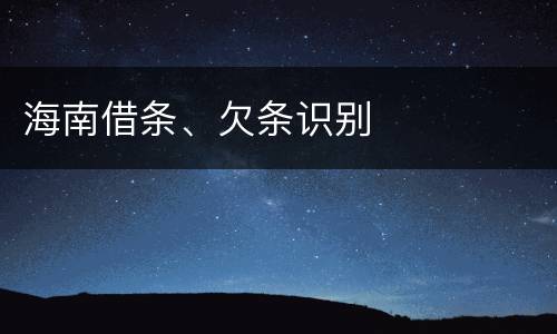 海南借条、欠条识别