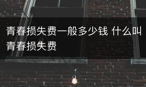 青春损失费一般多少钱 什么叫青春损失费