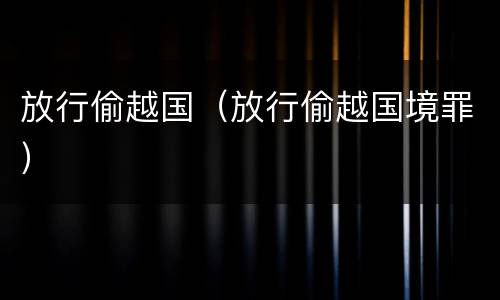 放行偷越国(放行偷越国境罪)