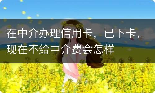 在中介办理信用卡，已下卡，现在不给中介费会怎样