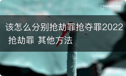 该怎么分别抢劫罪抢夺罪2022 抢劫罪 其他方法