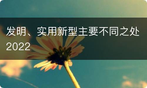 发明、实用新型主要不同之处2022