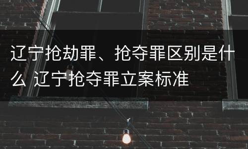 辽宁抢劫罪、抢夺罪区别是什么 辽宁抢夺罪立案标准