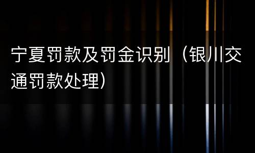 宁夏罚款及罚金识别（银川交通罚款处理）