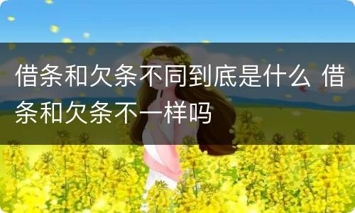 借条和欠条不同到底是什么 借条和欠条不一样吗
